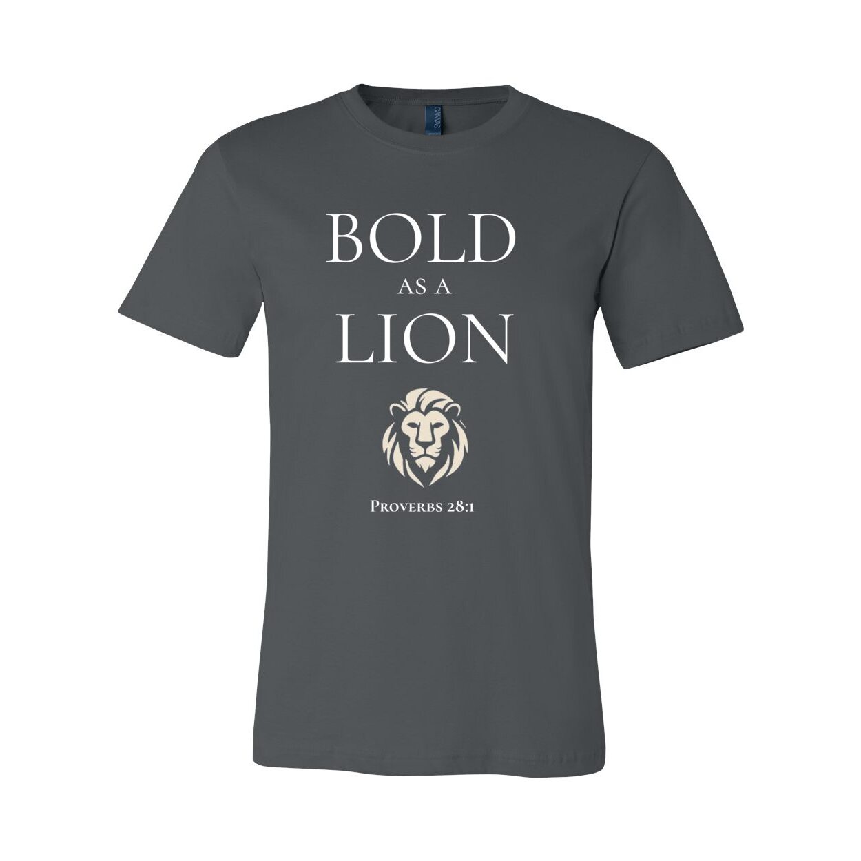 Bold as a Lion - Proverbs 28:1