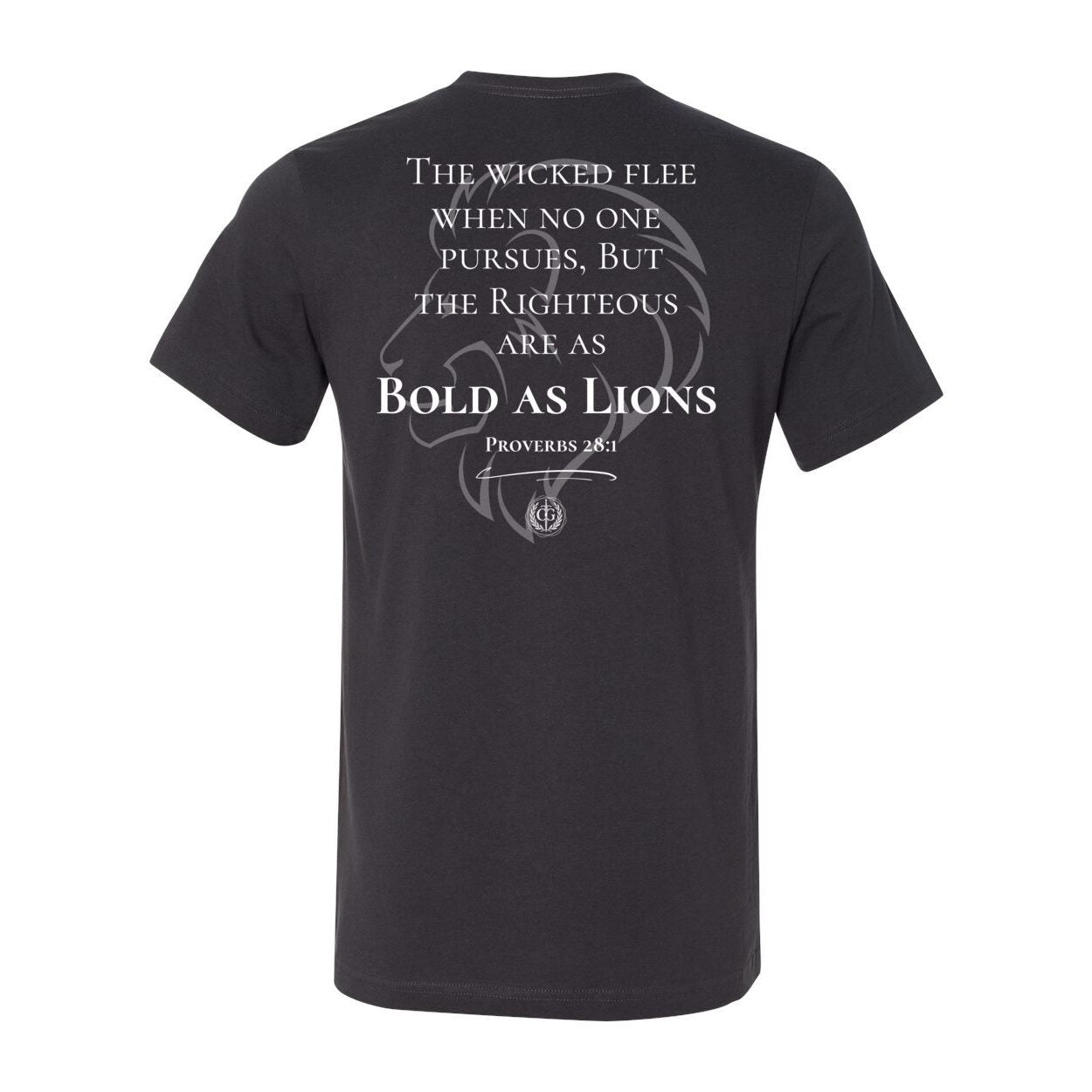 Bold as a Lion - Proverbs 28:1