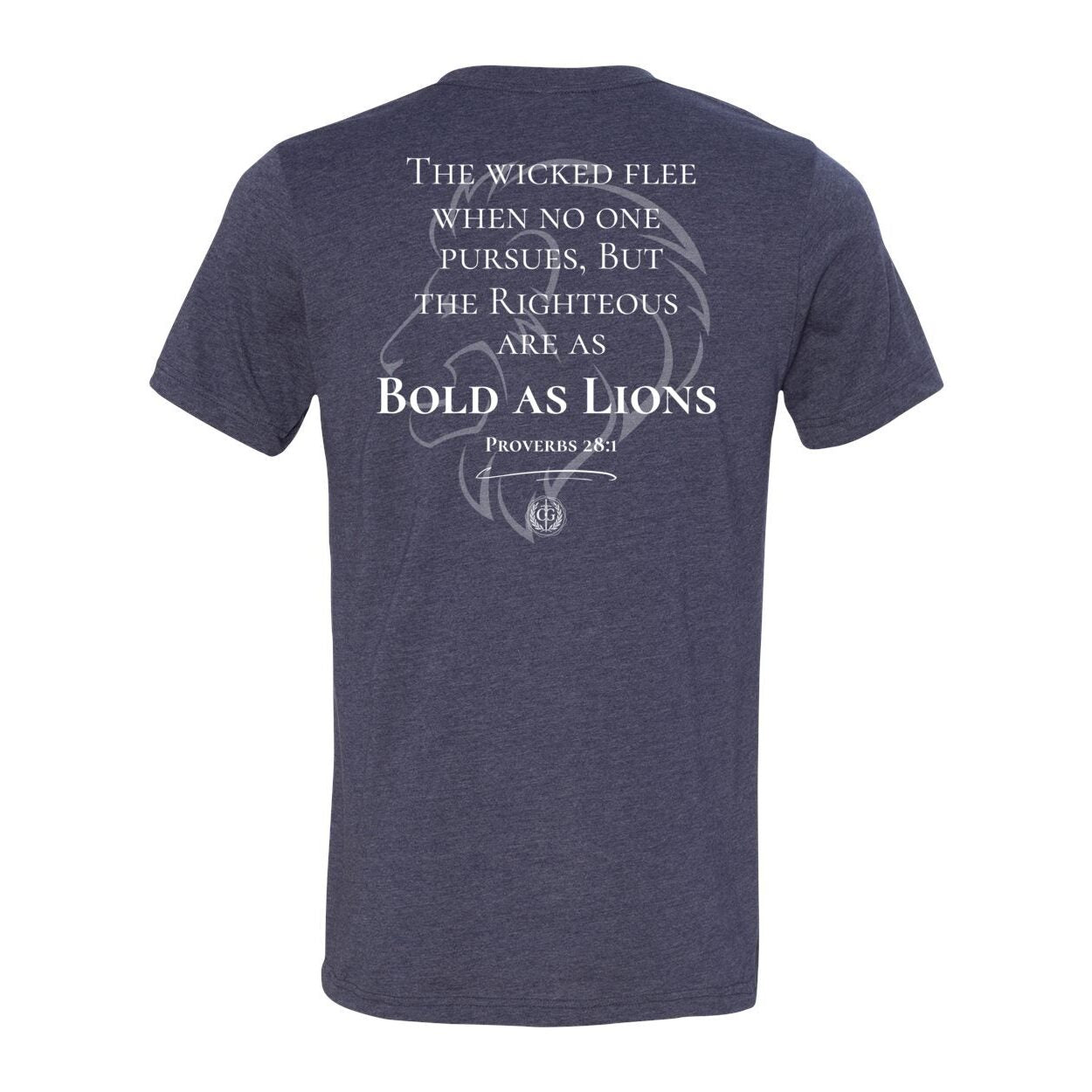Bold as a Lion - Proverbs 28:1