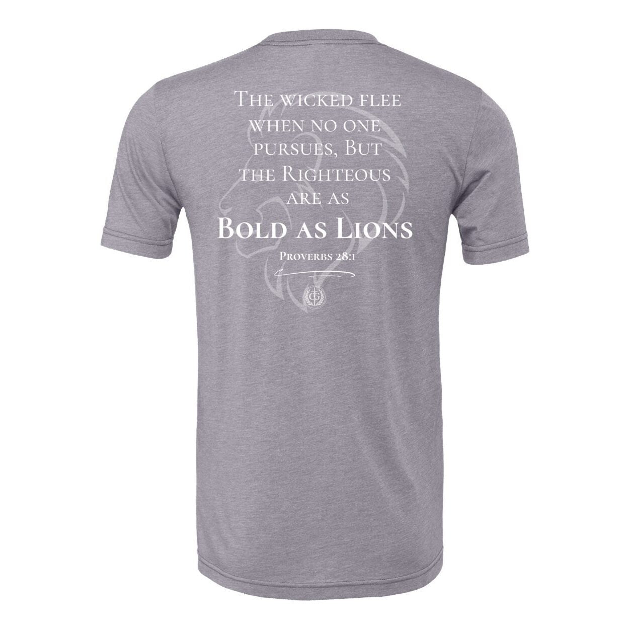 Bold as a Lion - Proverbs 28:1