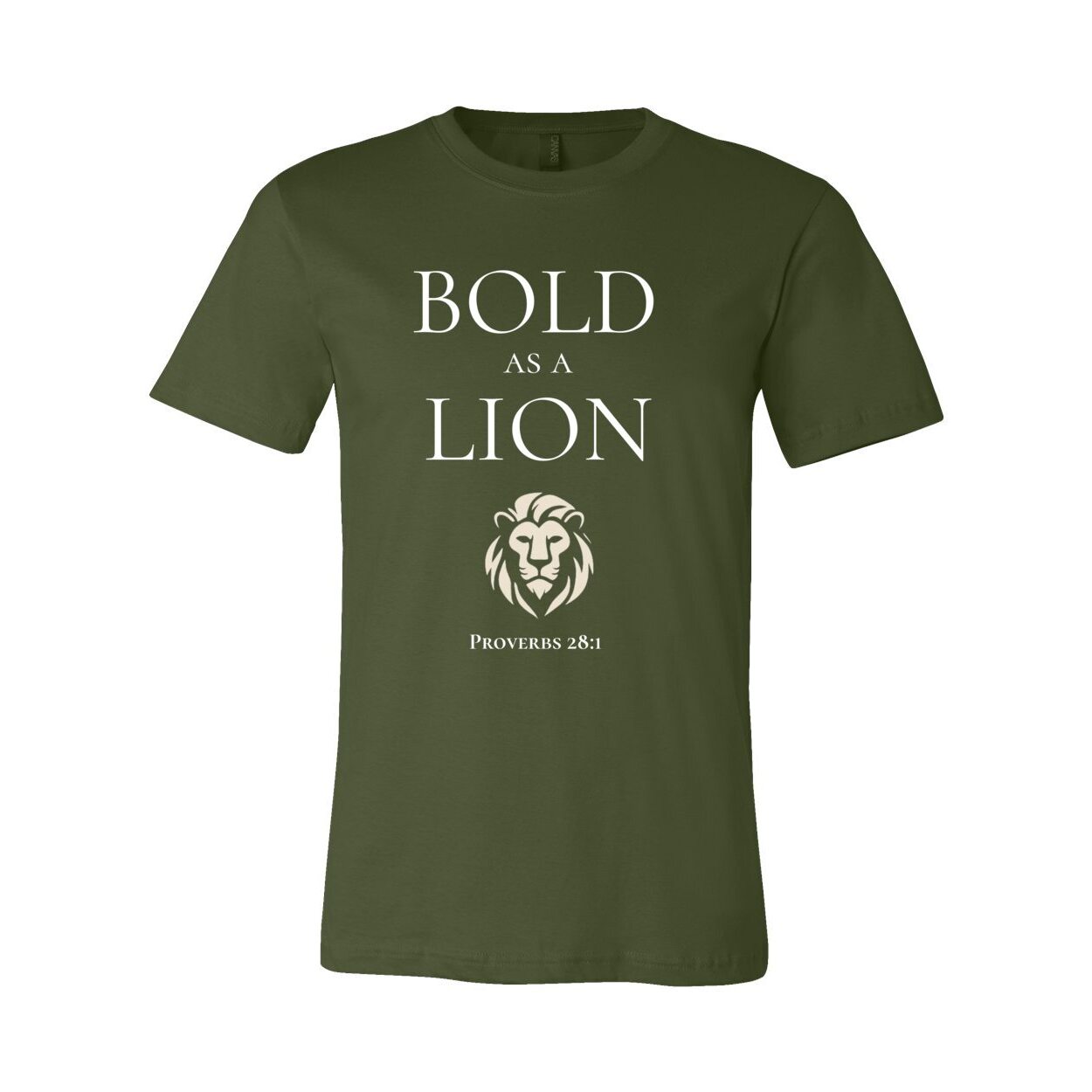Bold as a Lion - Proverbs 28:1