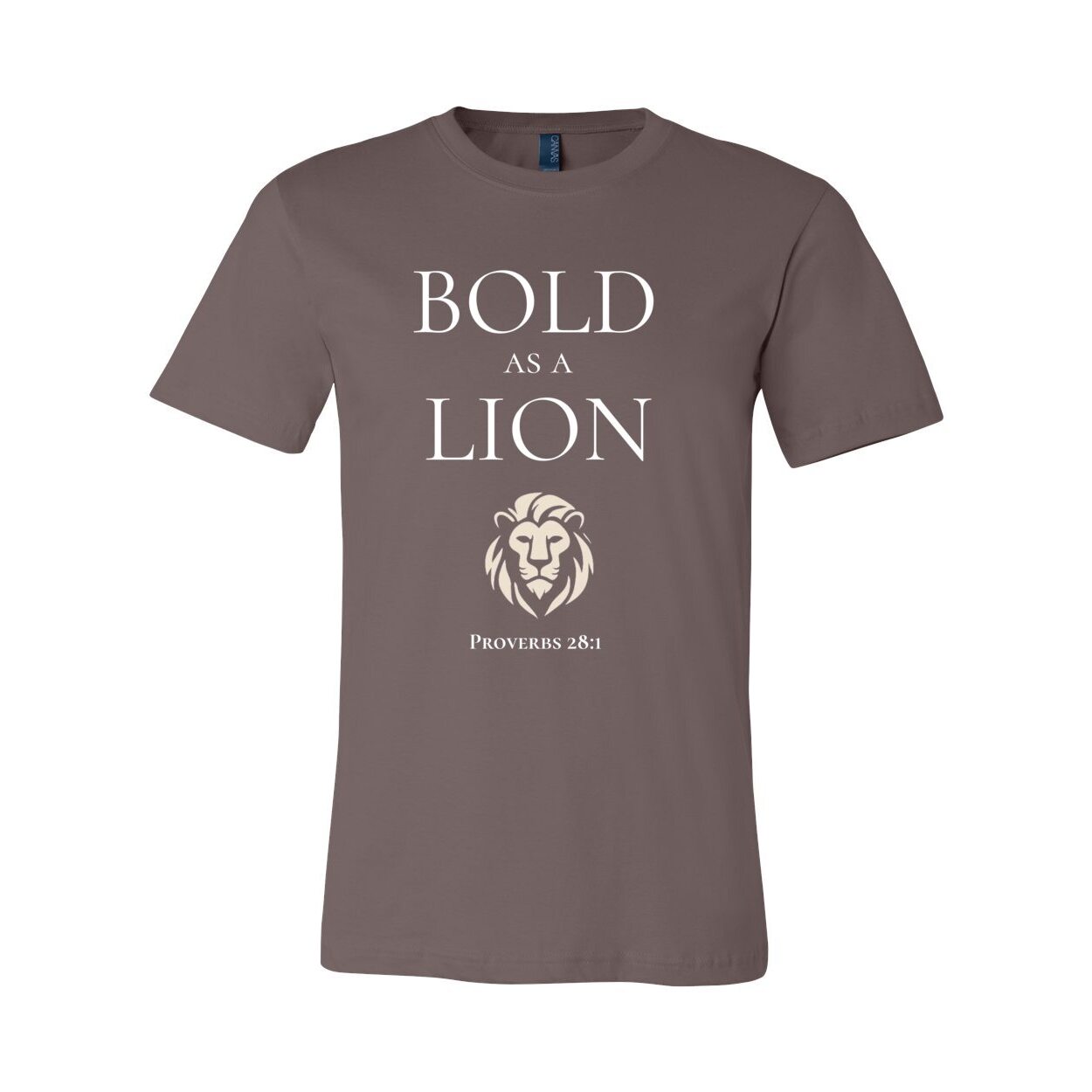 Bold as a Lion - Proverbs 28:1